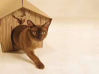 LoyalLuxe-CatCabin