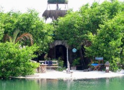 island11