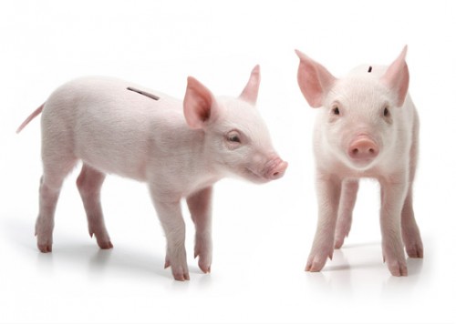 product-pigletbank