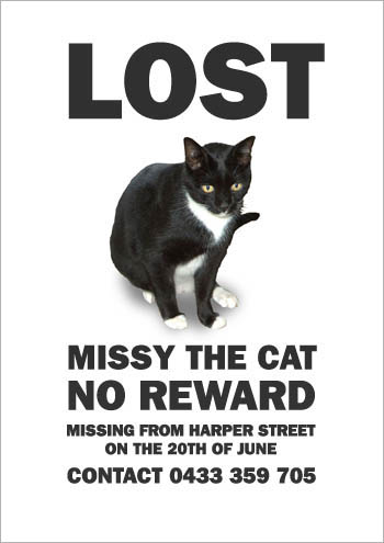 missthecatnoreward