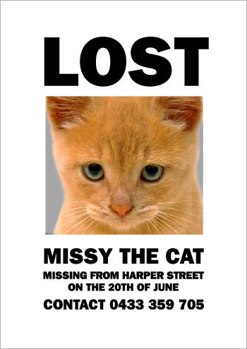 missthecatorange