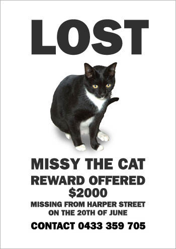 missythecat2000