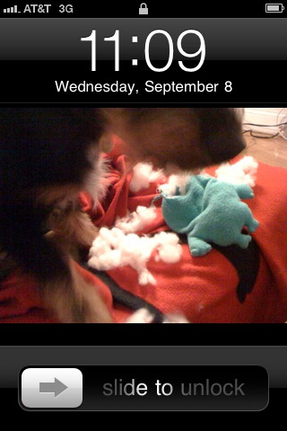 myiphoneporoject_hp